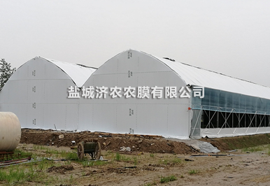 農(nóng)業(yè)科技示范基地.png